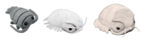 toy isopods